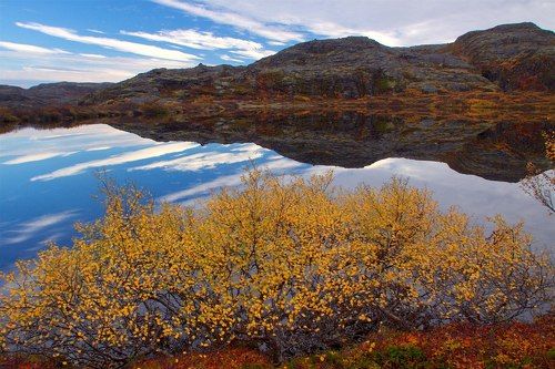 Краски осени
