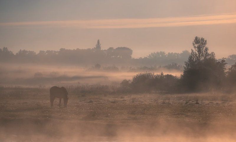 Растворенные во времени фото превью