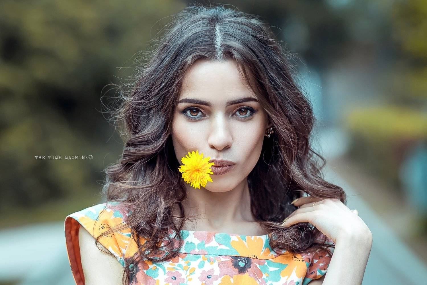 портрет, михаилшестаков, thetimemachine, Михаил Бове