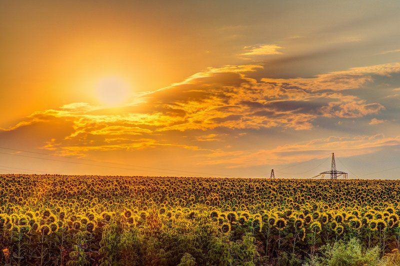 Утро фото превью