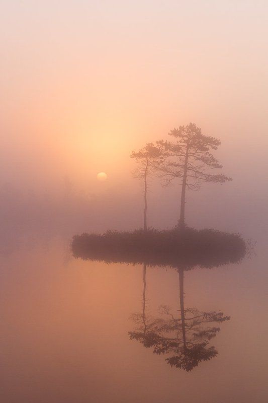 New morning фото превью