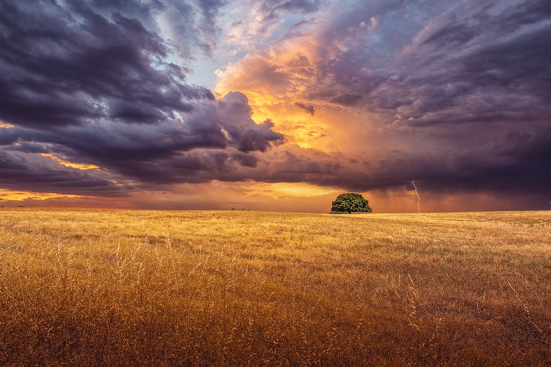 tree, fields, sunset, clouds, cloudscape, storm, sun, purple, orange, colorful, beauty Alone фото превью