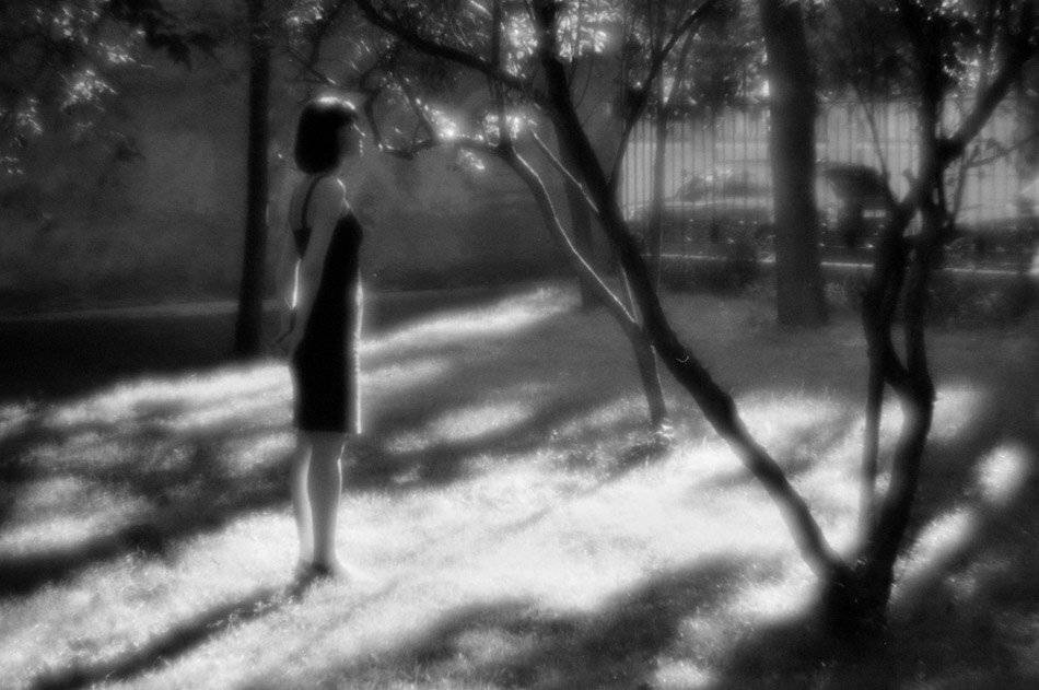 , Петр Стуль