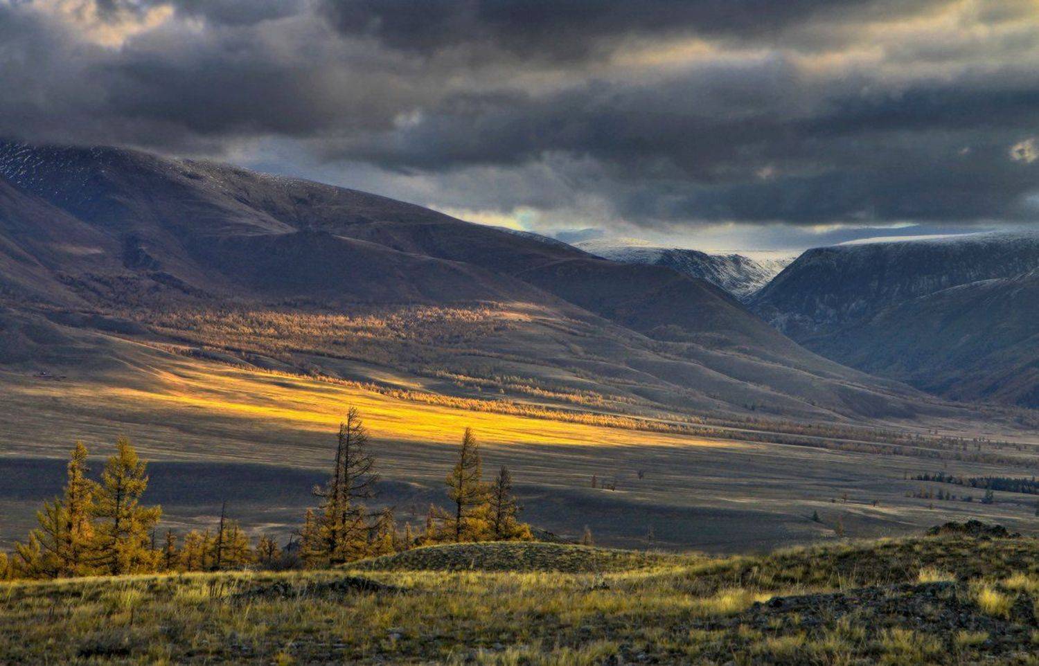 , Галина Хвостенко