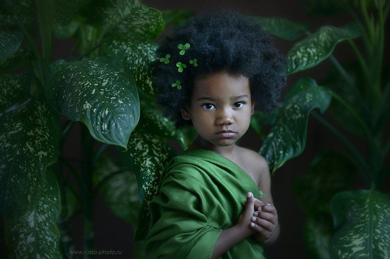 фото превью