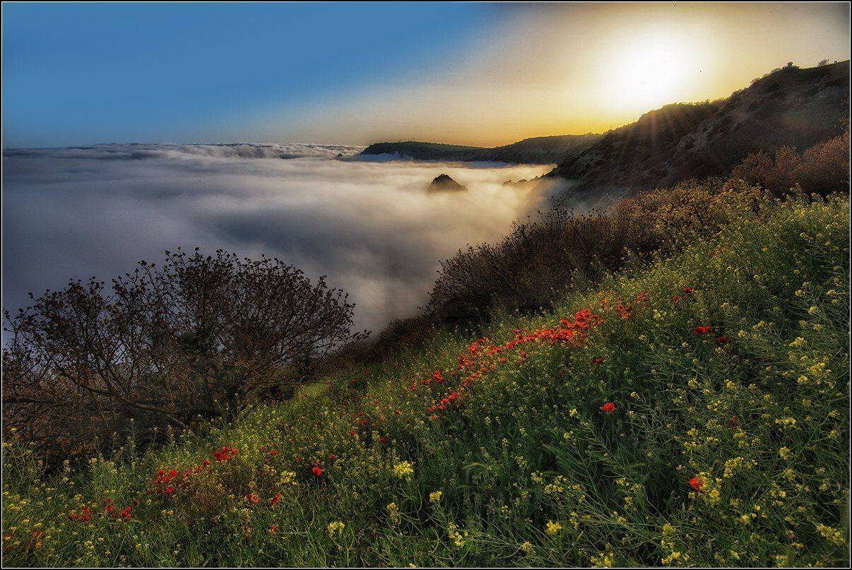 крым, весна, вечер, туман, море, АНАТОЛИЙ ДОВЫДЕНКО