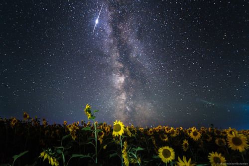 В то время, когда наши космические корабли...