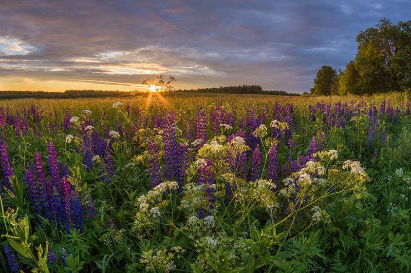 кружева фото превью