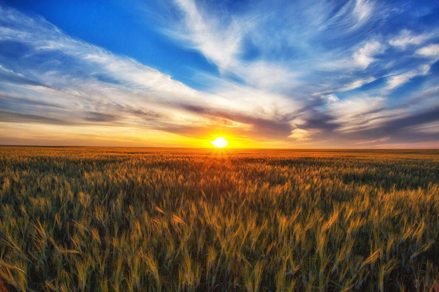 , Павел Сагайдак