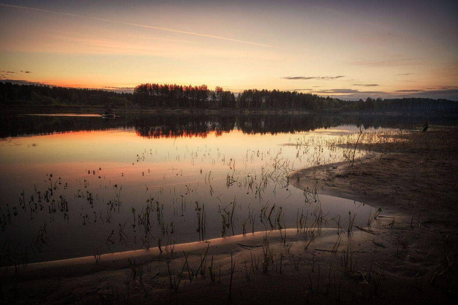 , Пушкарев Николай