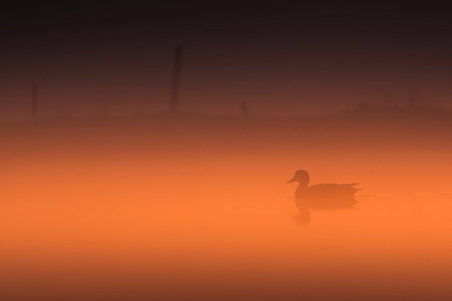 , Łukasz Sok&oacute;ł