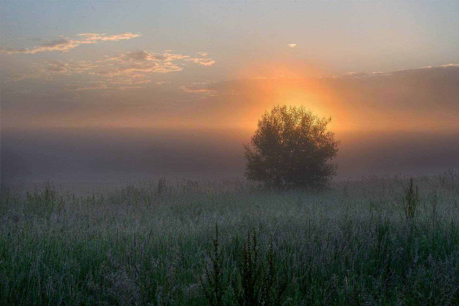 #пейзаж #подмосковье #закат #рассвет #россия #жизнь #мир #чехов #sibirikonium85 , Морозов Юрий