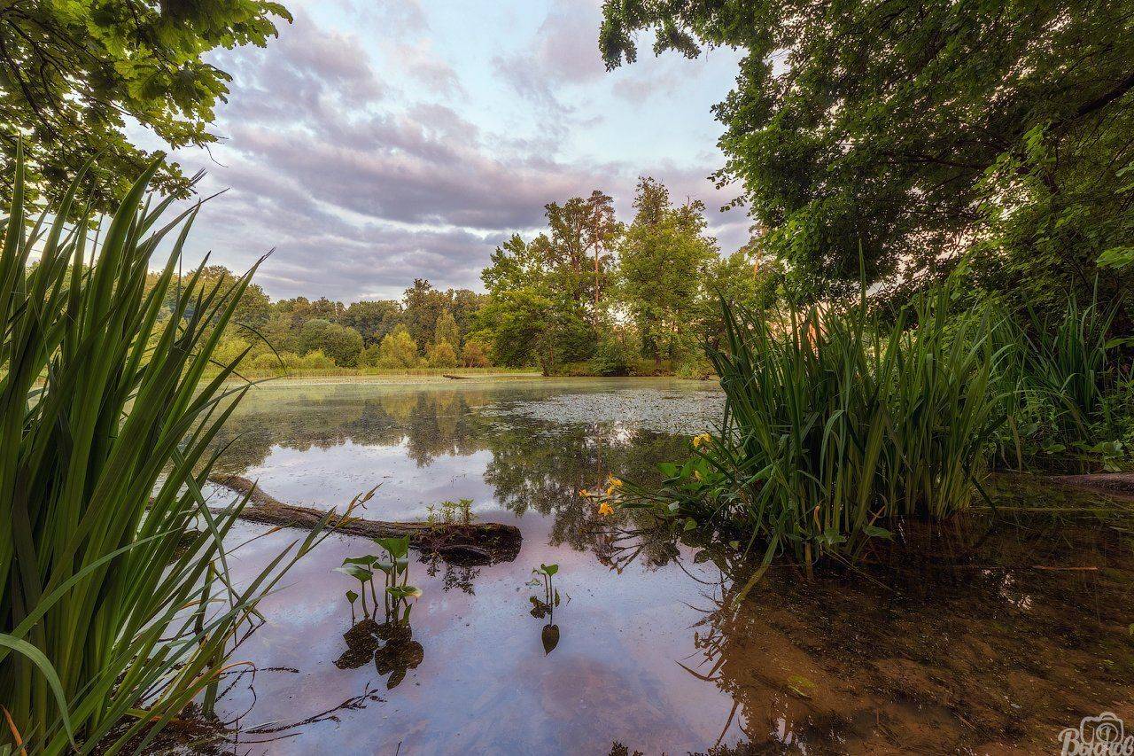 , Сергей Вьюнов