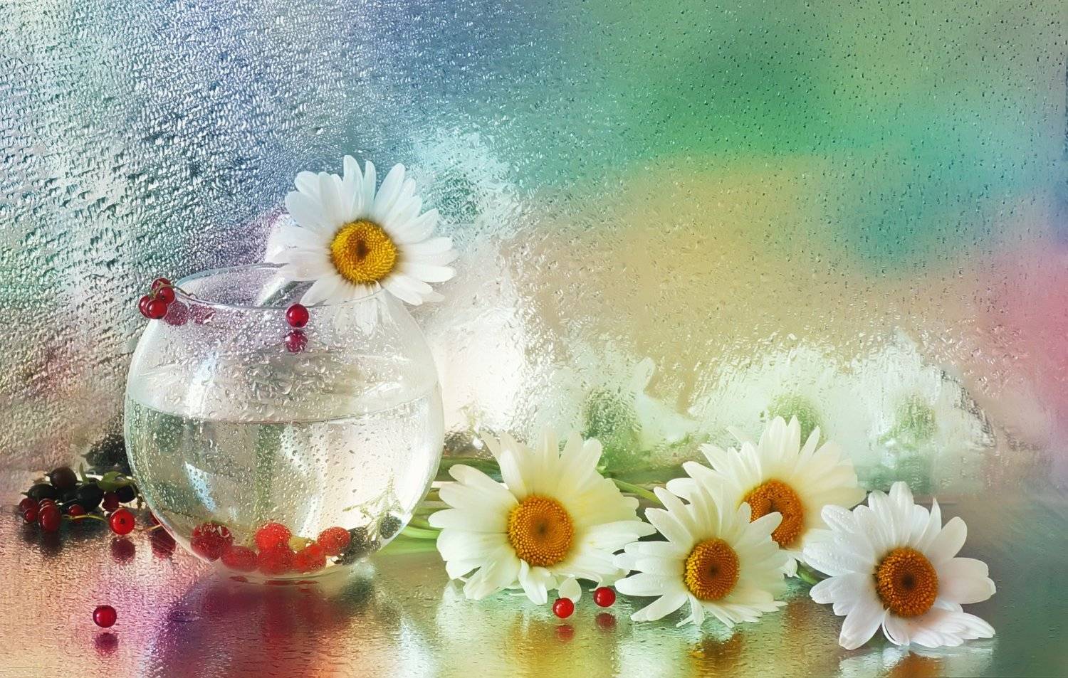 , Айснер Юлия