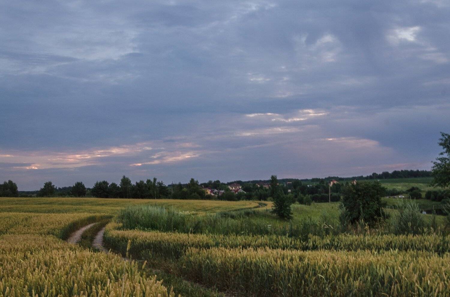 , Александр Березуцкий