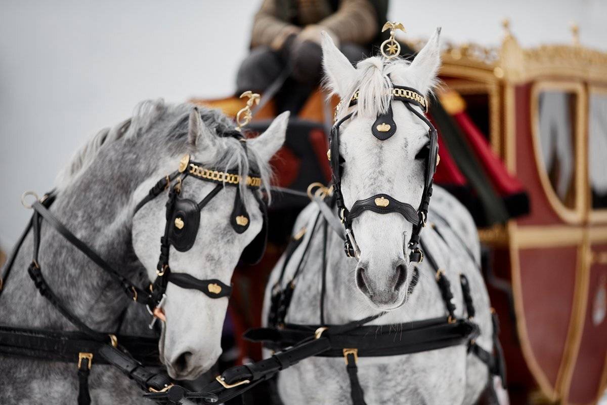 , Семён Конев