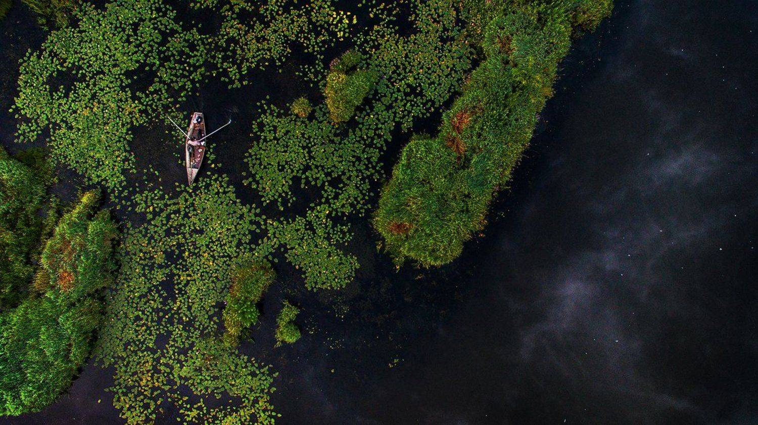 , Михаил Лежнёв