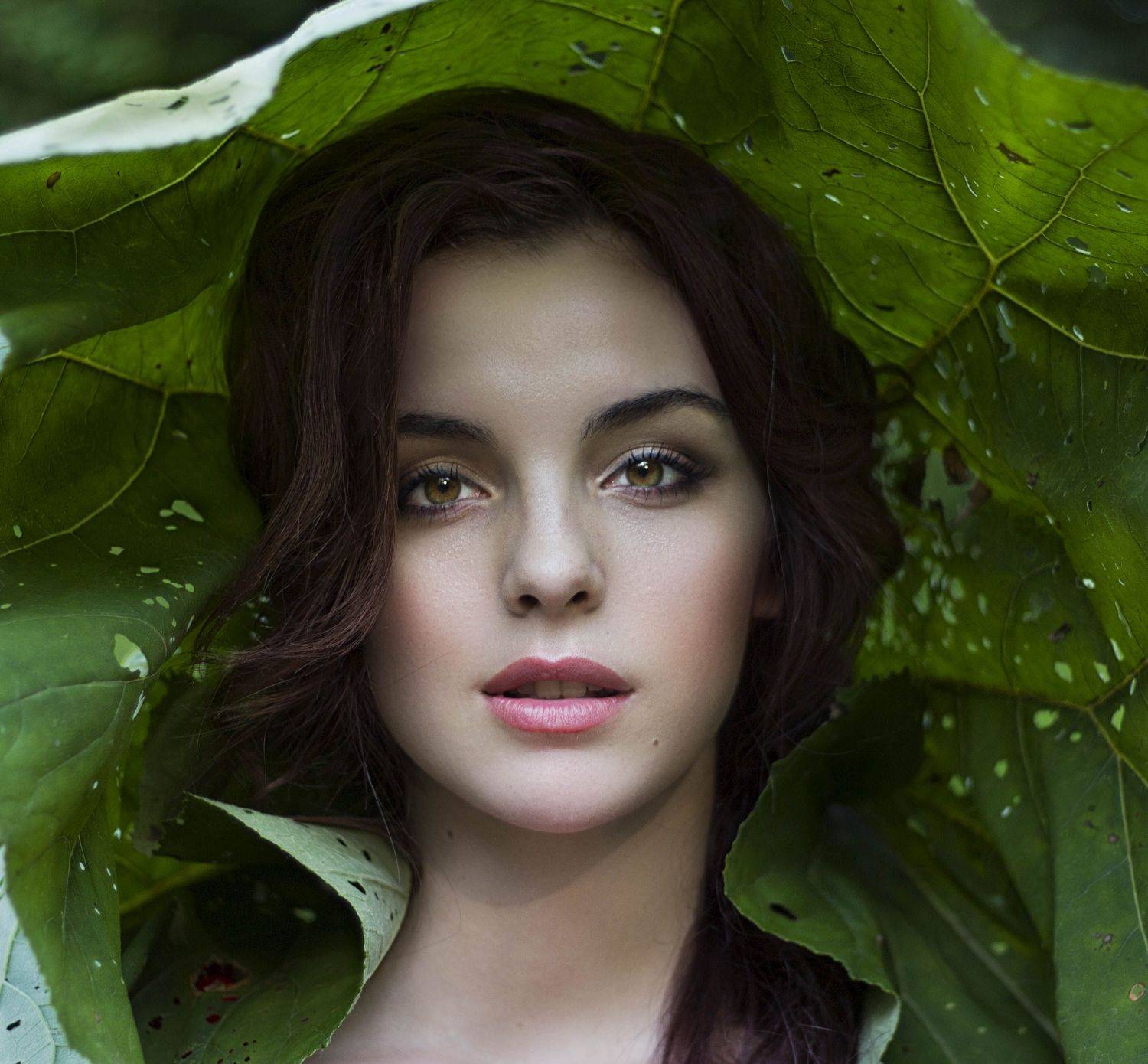 , Инна Донцова