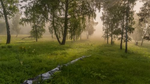 Страна березового ситца