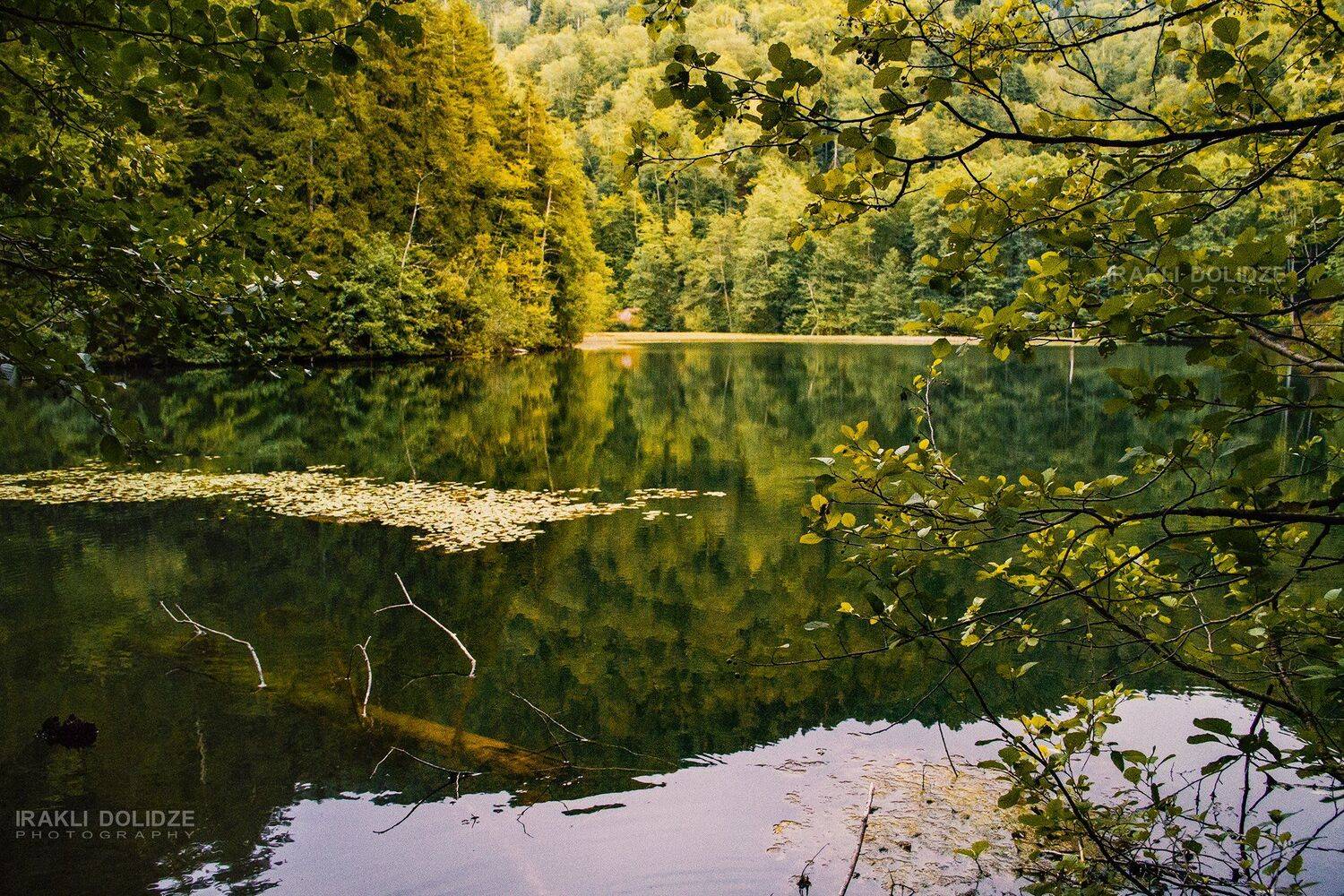 lake, relax, travel, camping, landscape, nature, photography, natgeo, reflection, trees, autumn, , ირაკლი დოლიძე