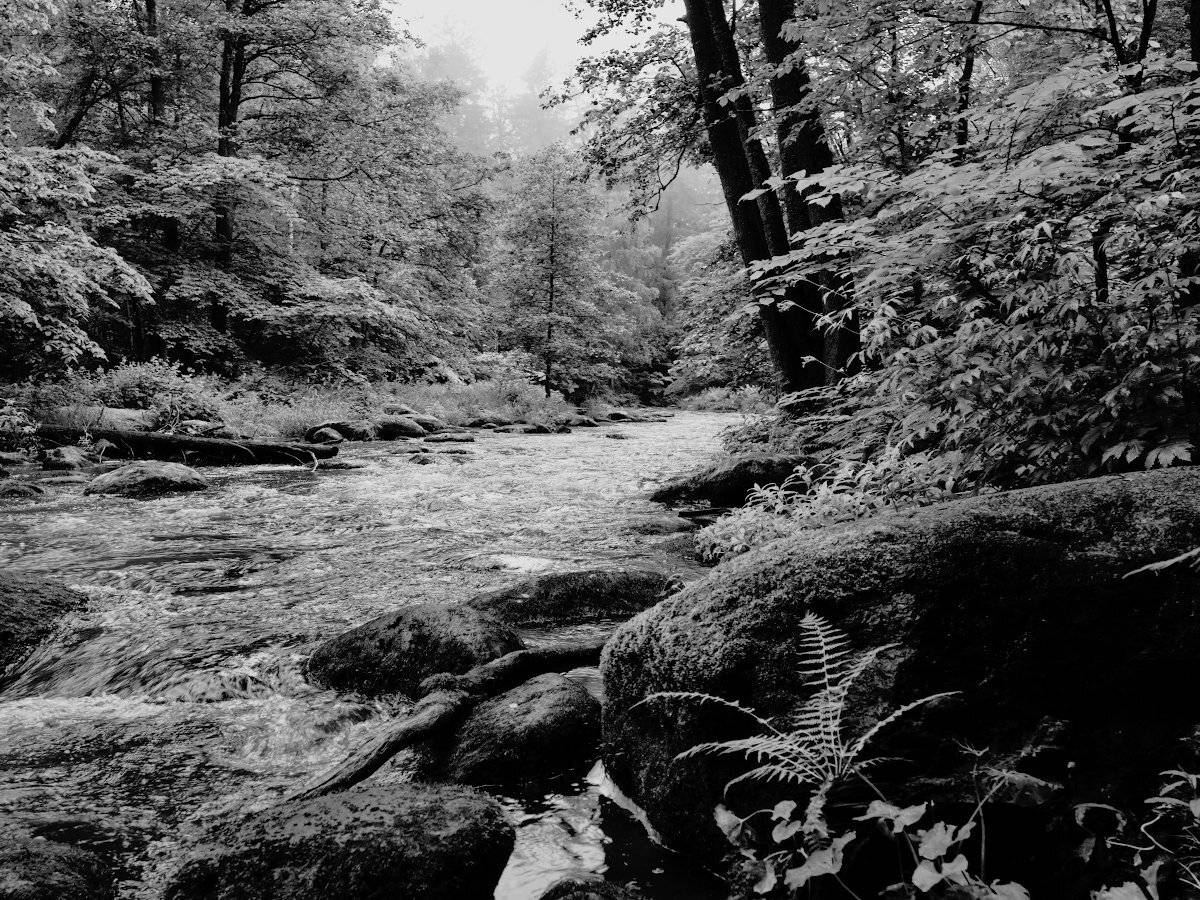 , Штабнов Юрий