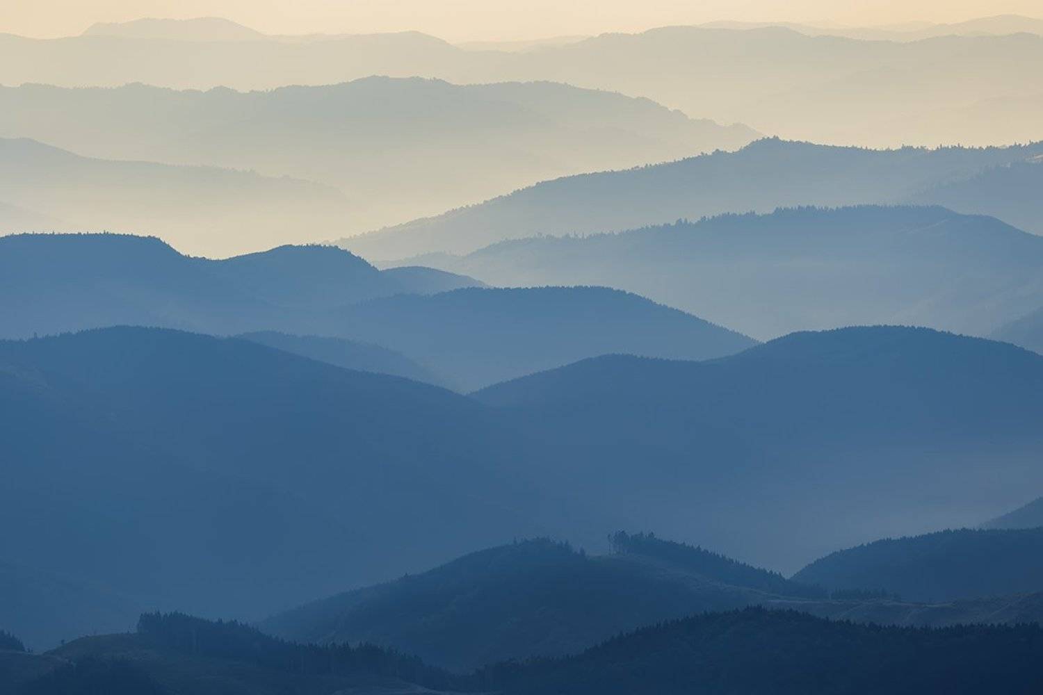 carpathians, karpaty, pip ivan, mountains, Michał Olech