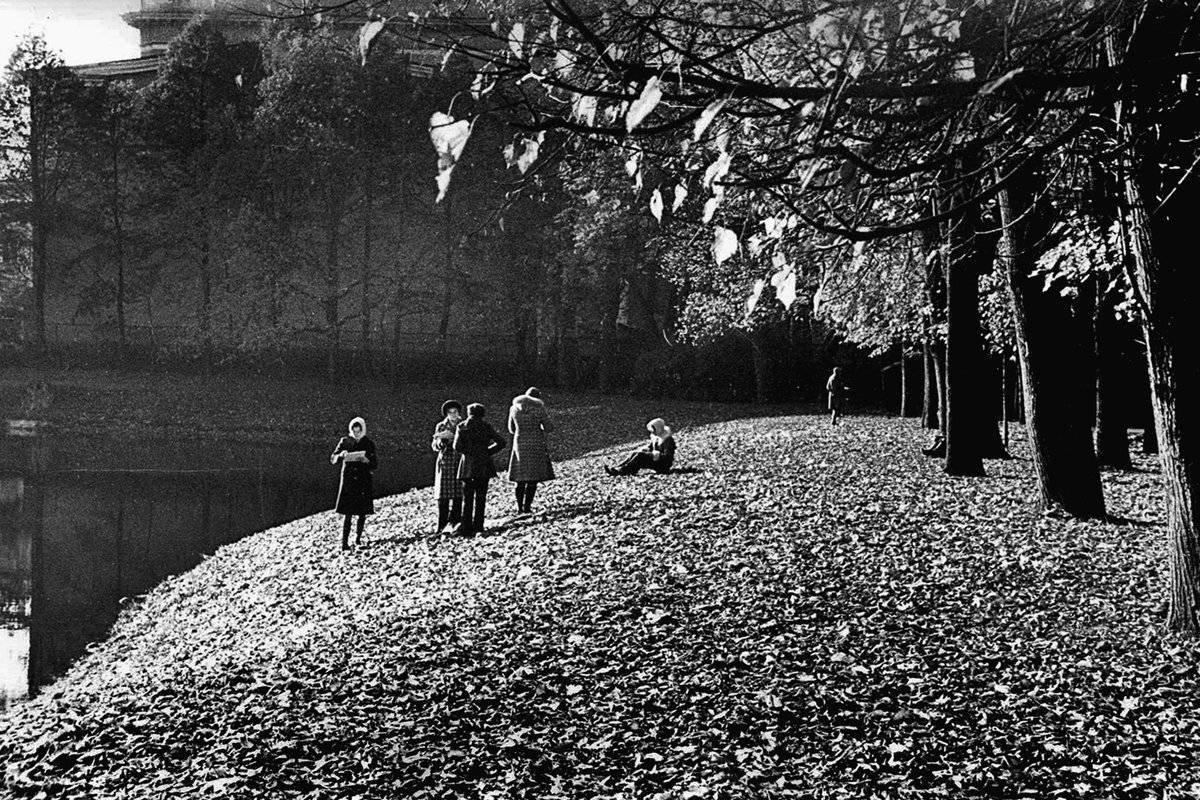 апатиты, город, петербург, осень, чб, художники, Николай Смоляк