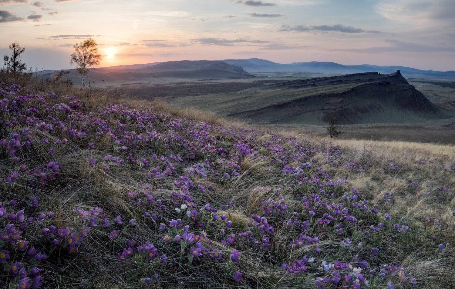 , Лещёнок Александр
