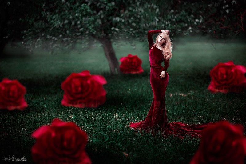 #нуруллаеваяна розы фото превью