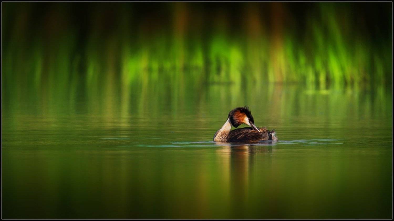 , Валерий Субачев