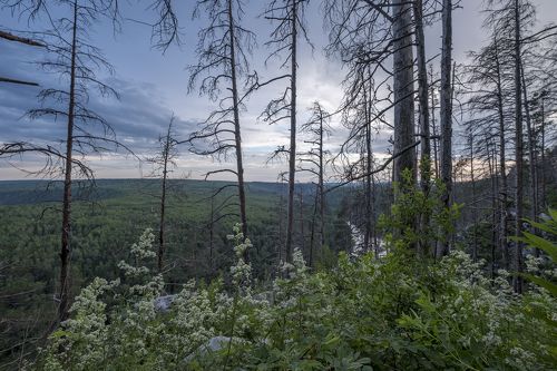 Возрождение