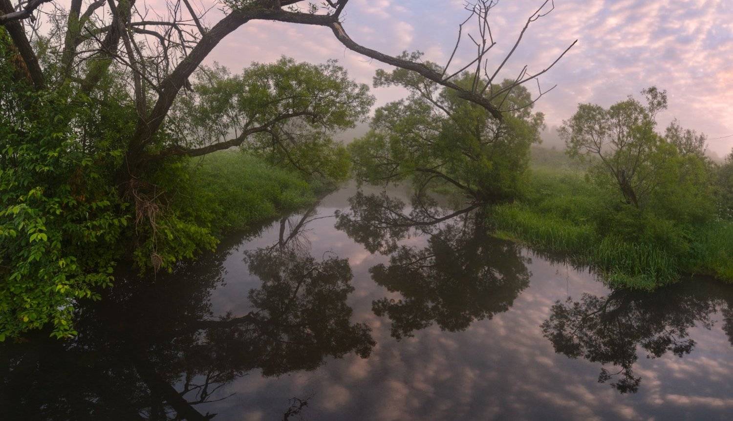 снежедь, чернь, тула, Бежин луг, тургенев, Сергей Кочергин