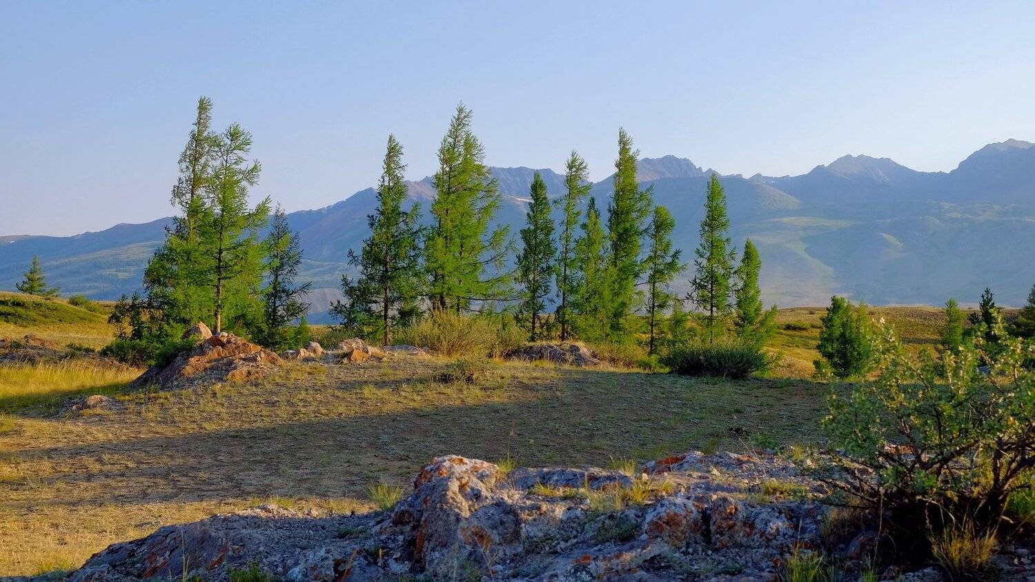 пейзаж, лето, горы, Горный Алтай, Александр Потапов