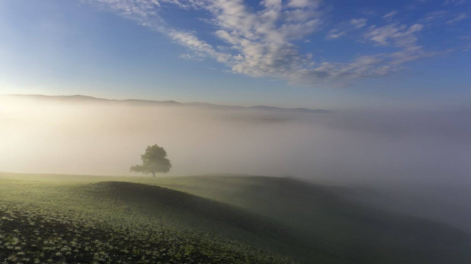, Леонид Максименко