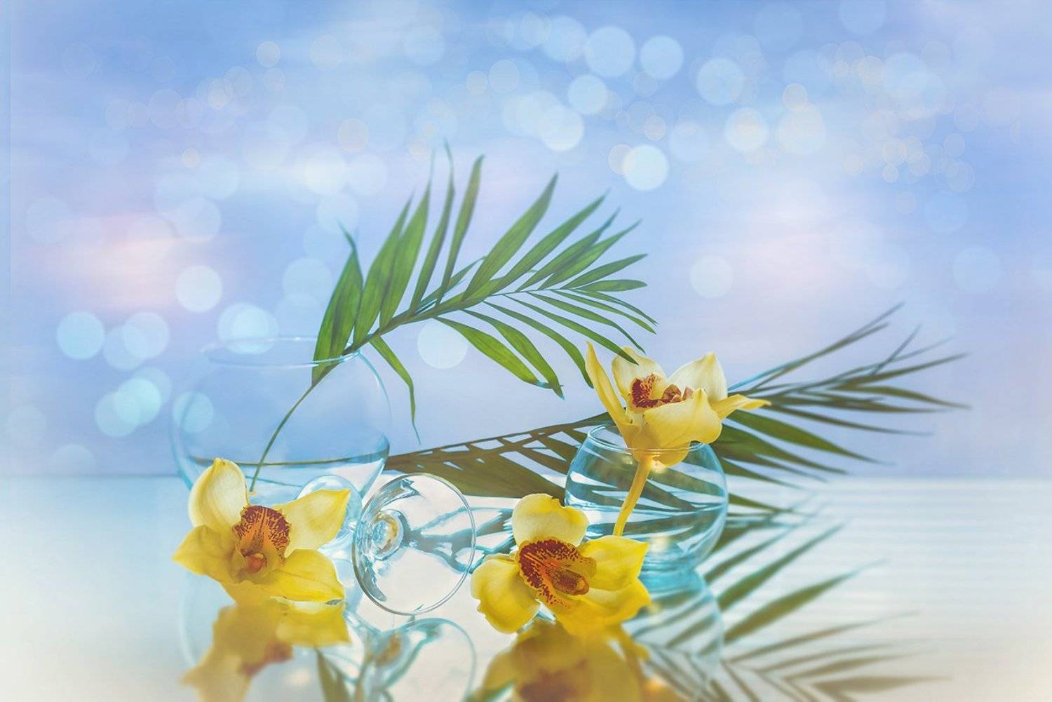 , MVO (Марк Орлов)