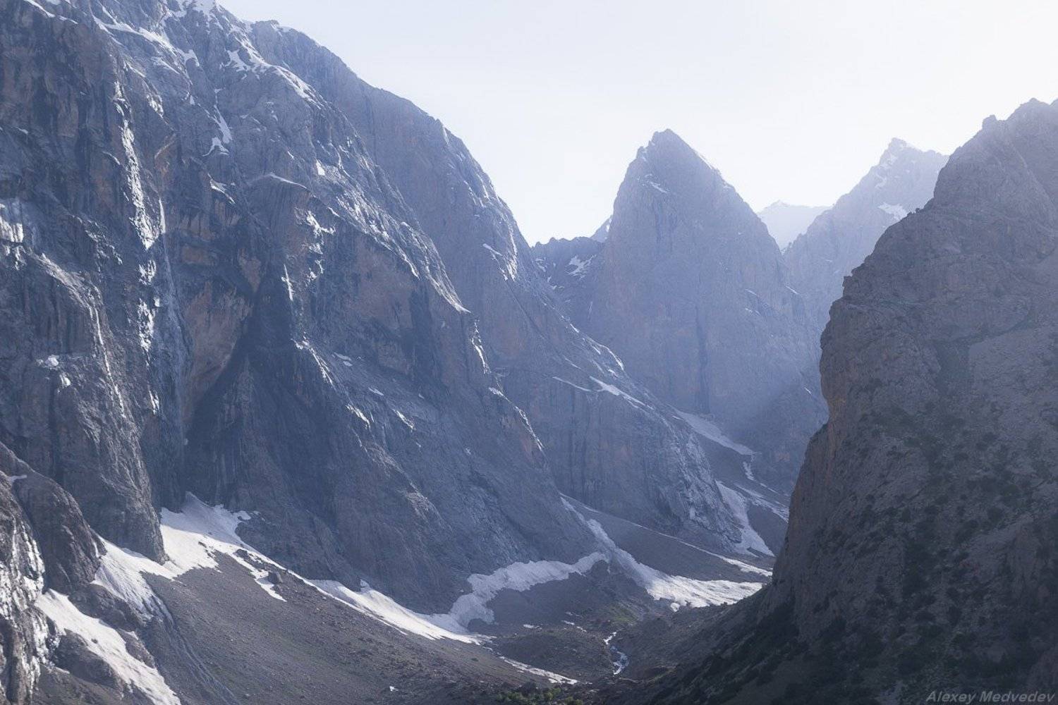 , Алексей Медведев