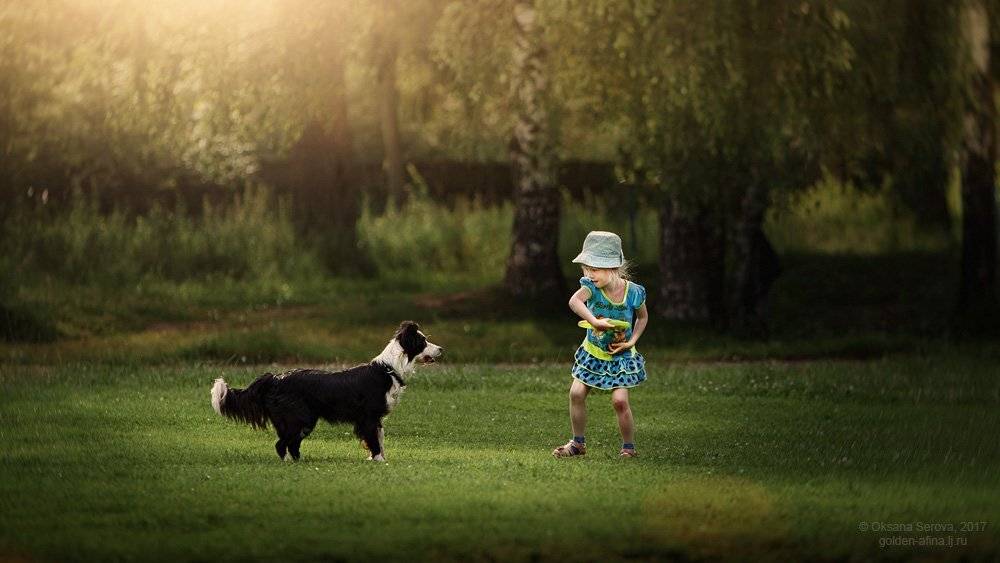 ребенок, собака, друзья, лето, Оксана Серова