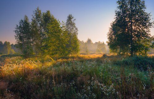 Летнее утро, июль