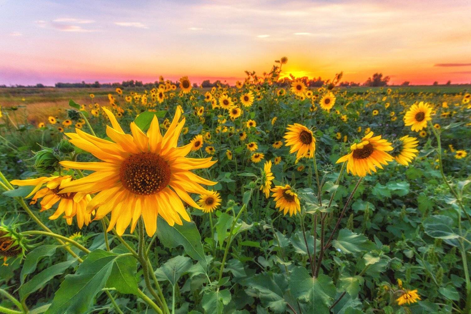 , Павел Сагайдак
