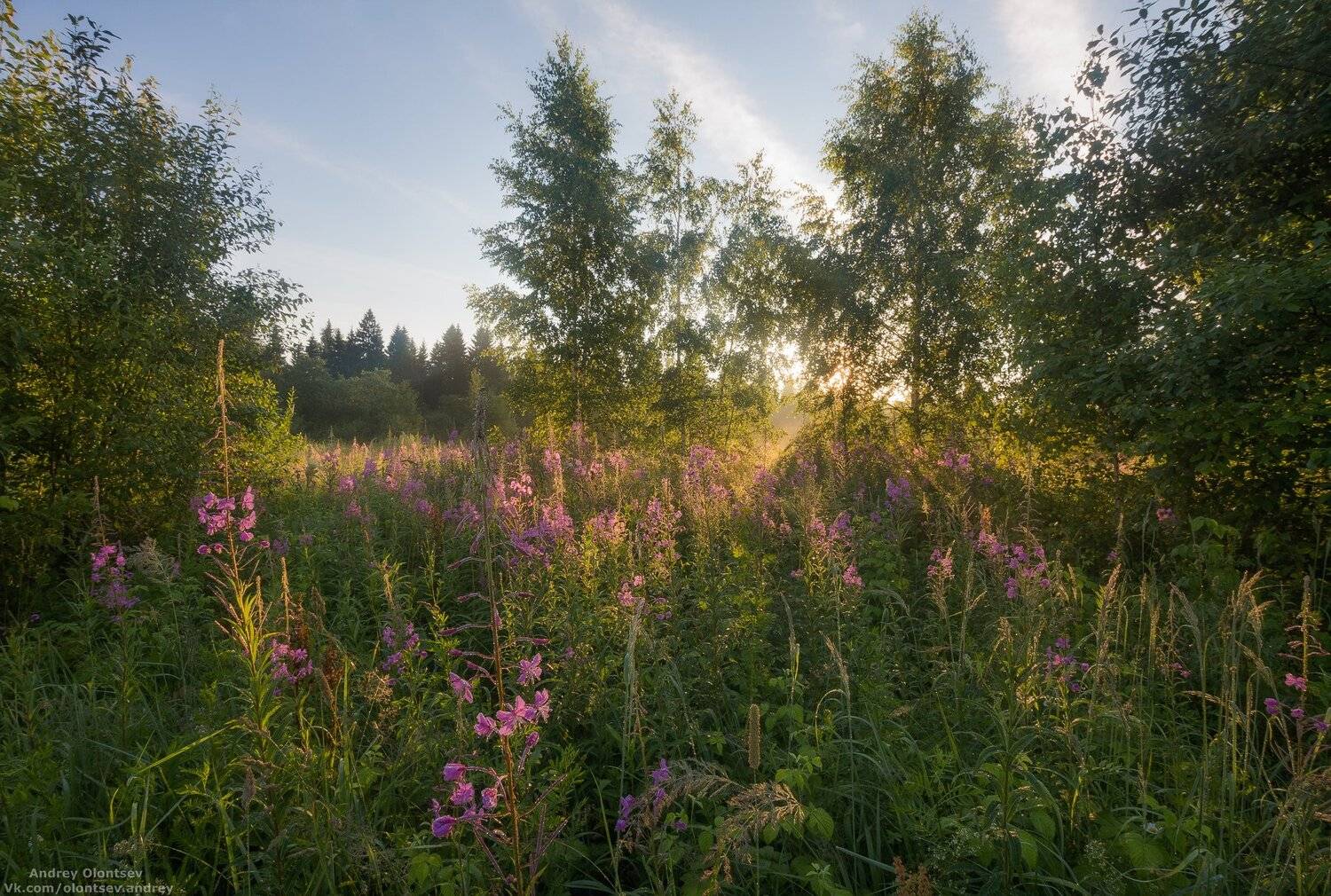 дубна, наукоград, подмосковье, россия, пейзаж, пейзажи, вода, солнце, отражение, рассвет, красота, природа, весна, погода, canon dubna, naukograd, moscow, russia, landscape, water, sun, reflection, dawn, beauty, nature, spring, weather, Андрей Олонцев