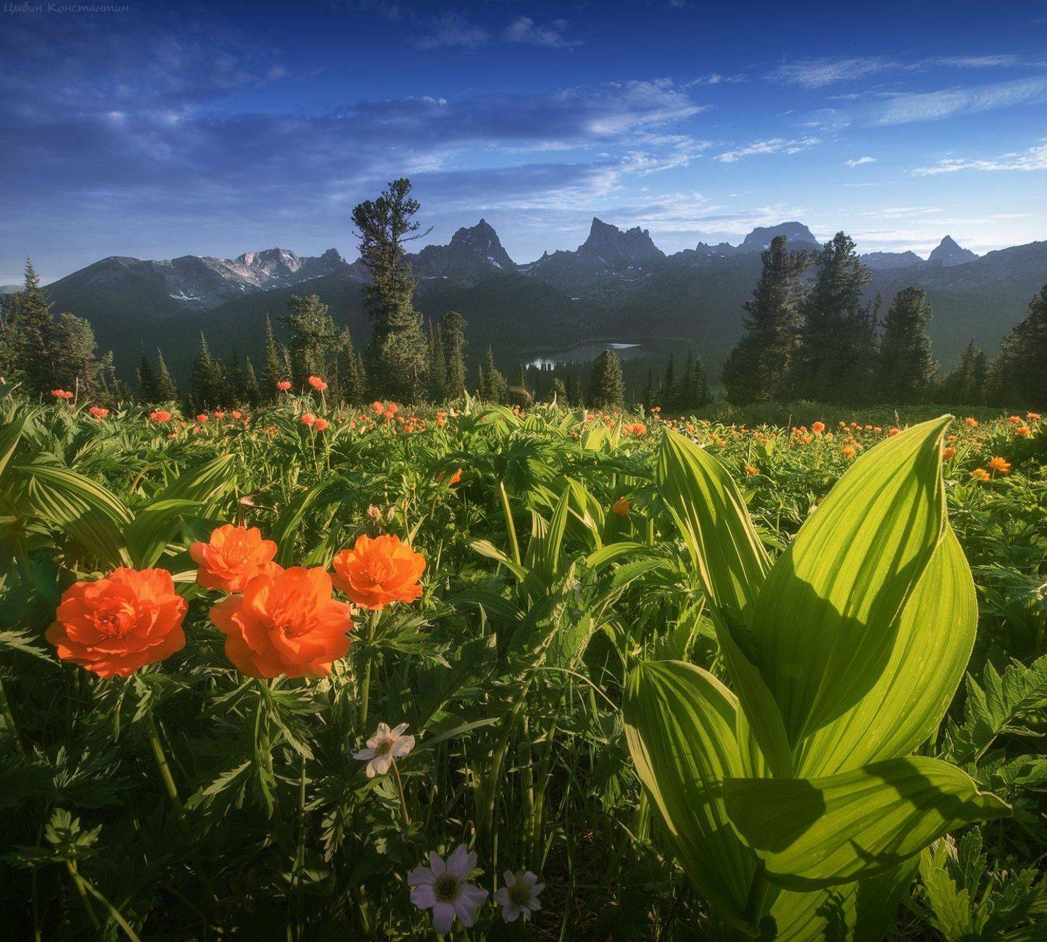 ергаки, Цыбин Константин