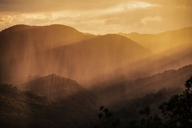 The color of rain фото превью