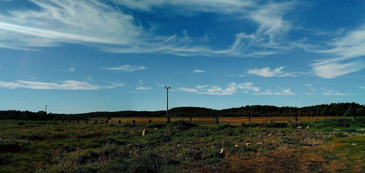 , Подойницин Геннадий