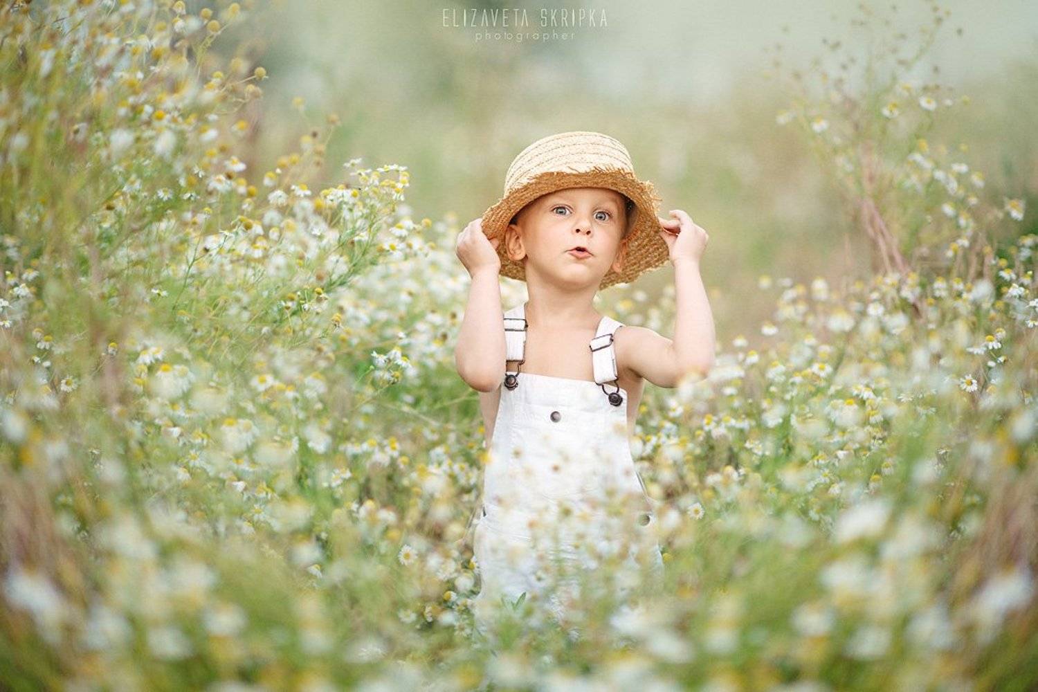 , Скрипка Елизавета