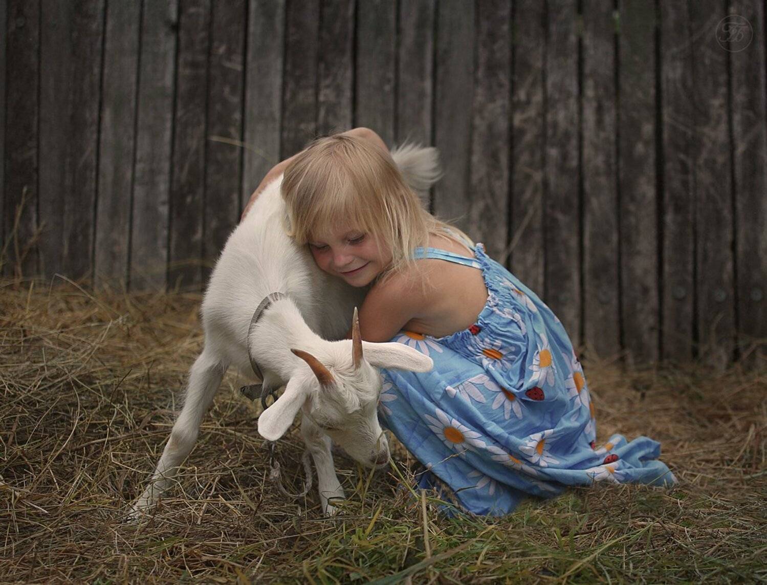 , Bandurov  Gennadii