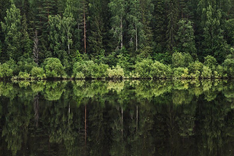 река Сухона фото превью