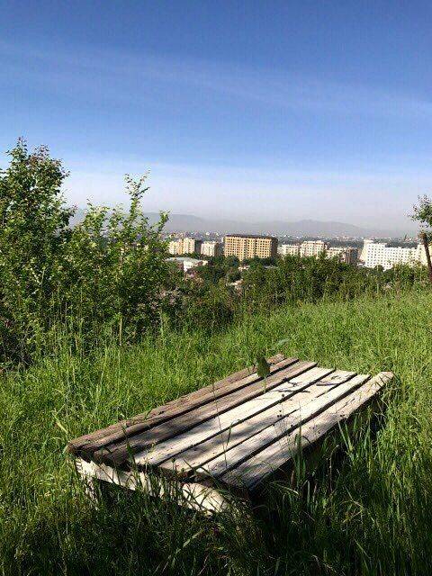 , Самадов Махди