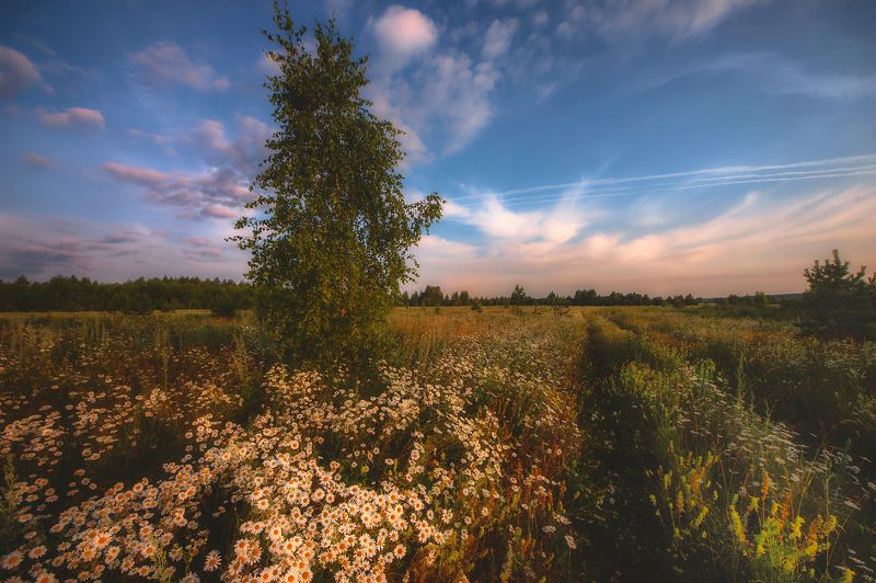 *** фото превью