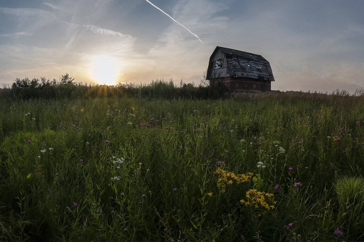 , Виталий Стрельцов