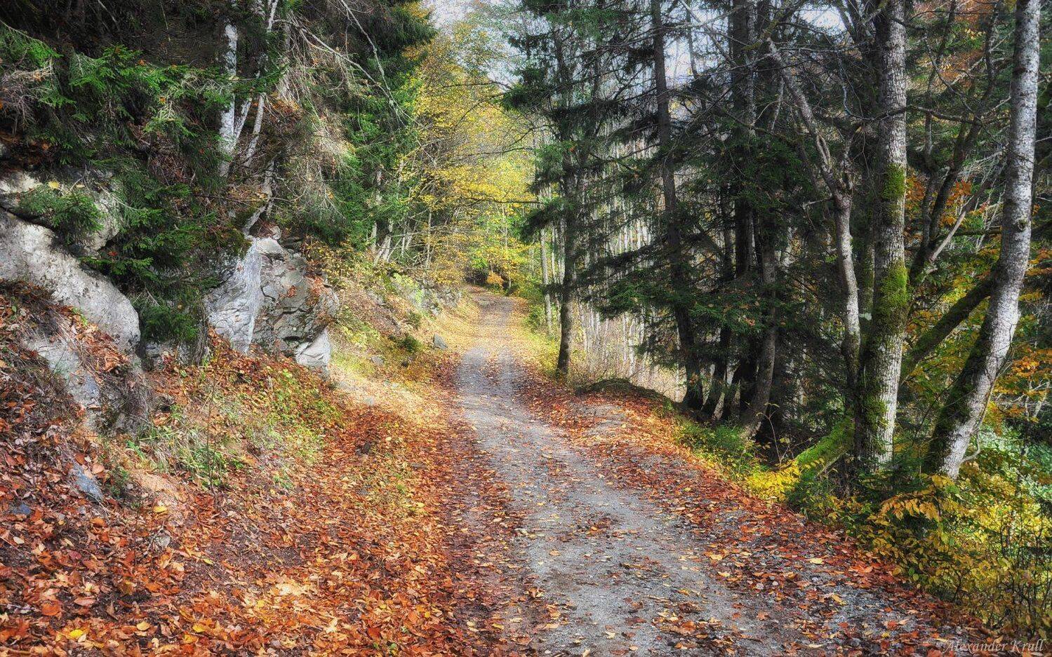 , Александр Круль